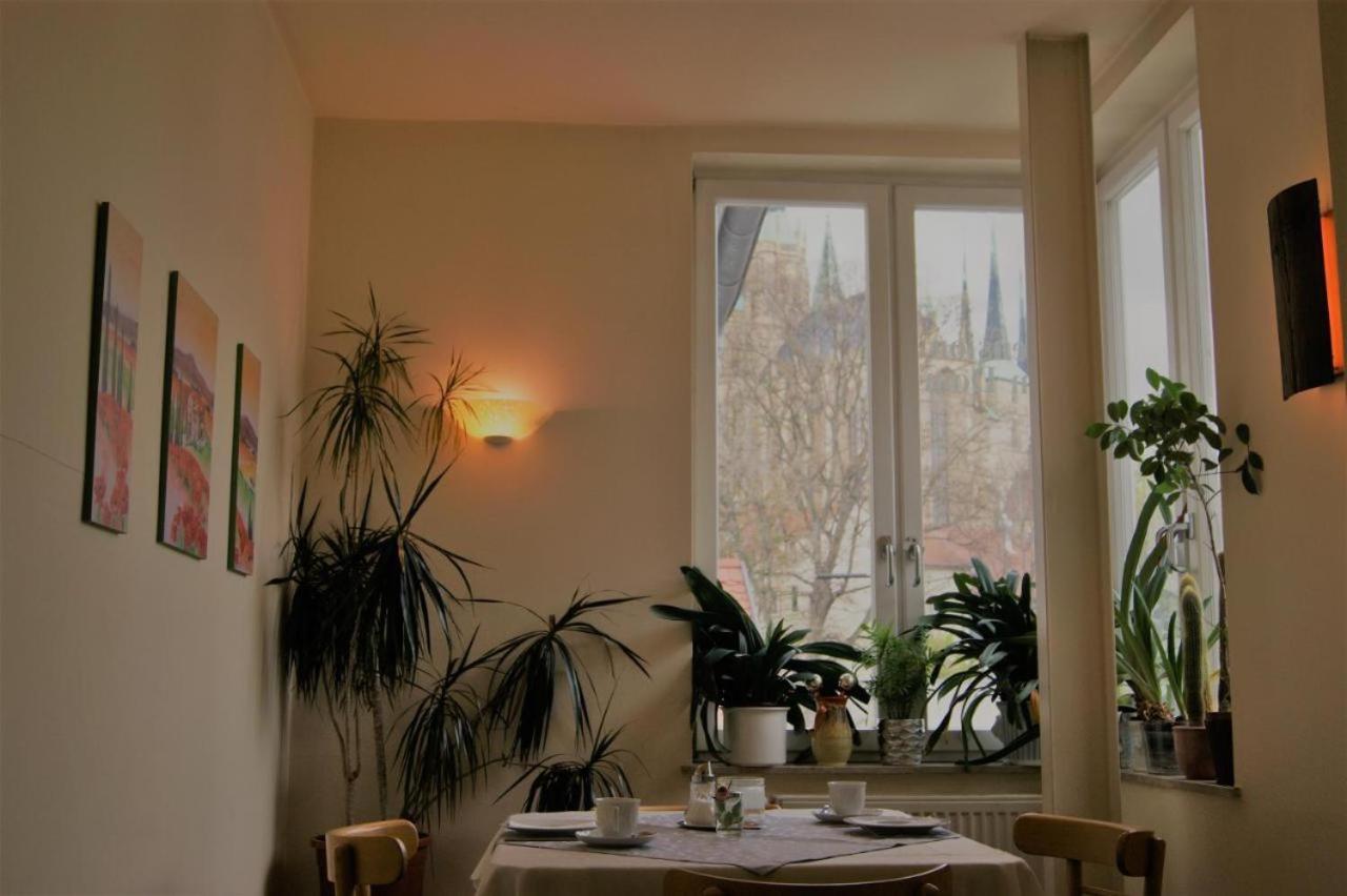 Hotelpension Am Dom Erfurt Exteriör bild