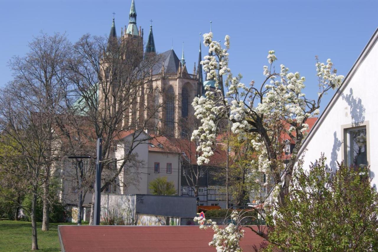 Hotelpension Am Dom Erfurt Exteriör bild